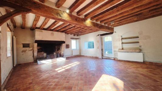 Acheter Maison 409 m2 Marmagne