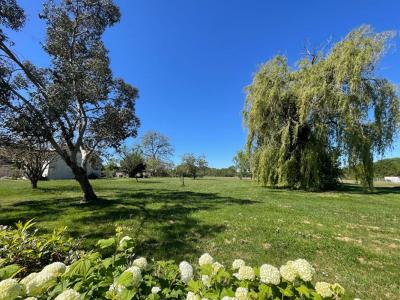 Annonce Vente 5 pi�ces Maison Auvilliers-en-gatinais 45