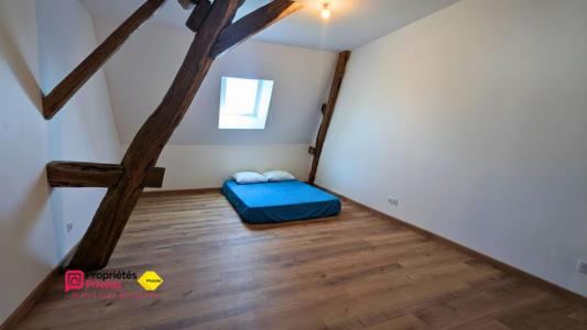 Acheter Prestige Vernou-sur-brenne 570000 euros