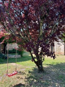 Annonce Vente 5 pi�ces Maison Trelissac 24