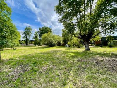 Annonce Vente Terrain Merignac 33