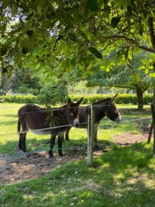 For sale Plescop 7 rooms 155 m2 Morbihan (56890) photo 1