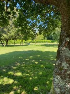 For sale Plescop 7 rooms 155 m2 Morbihan (56890) photo 2