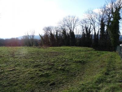 Acheter Terrain 4312 m2 Charchilla
