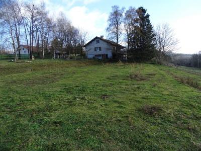 Acheter Terrain Charchilla Jura