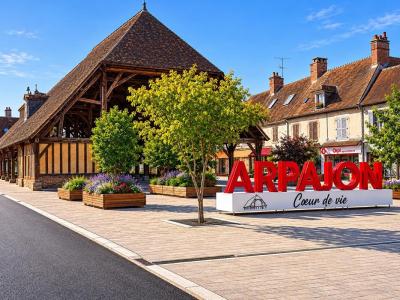 Annonce Vente Local commercial Arpajon 91
