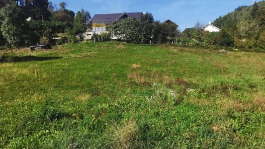 Annonce Vente 4 pi�ces Maison Aiguebelette-le-lac 73