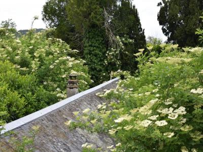 Acheter Maison 130 m2 Pont-audemer