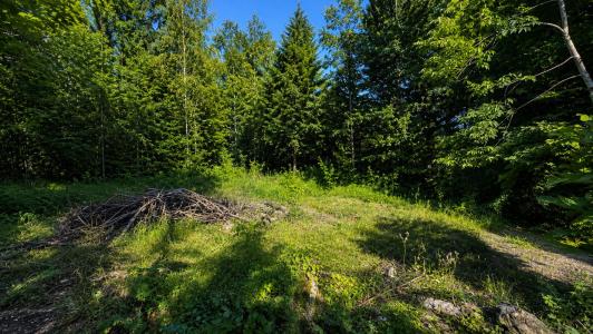 For sale Gaillac 600 m2 Tarn (81600) photo 1