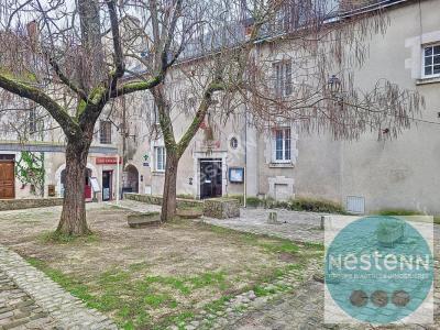 Annonce Location Local commercial Blois 41