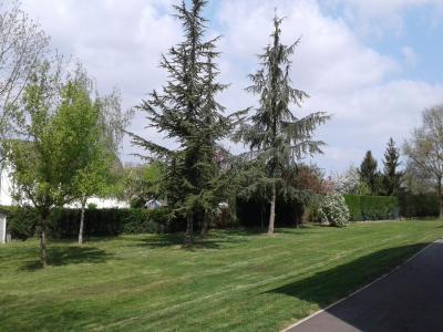 Annonce Location 2 pi�ces Appartement Chagny 71