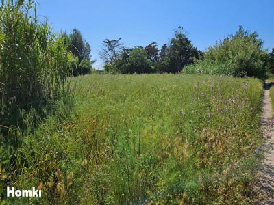 Annonce Vente Terrain Saint-nazaire 66