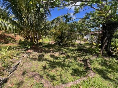 For sale Riviere-pilote 448 m2 Martinique (97211) photo 0