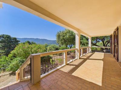 For sale Casaglione 5 rooms 166 m2 Corse (20111) photo 3