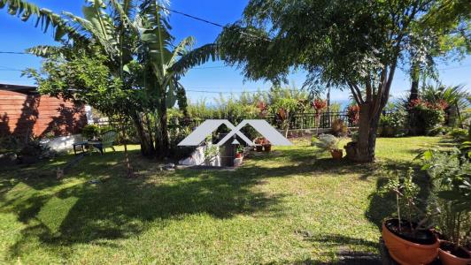 Annonce Vente 7 pi�ces Maison Montagne 974