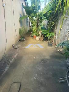 Acheter Maison Ravine-des-cabris 195195 euros