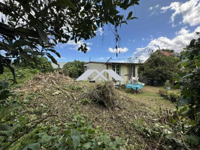 Annonce Vente 2 pi�ces Maison Plaine-des-cafres 974