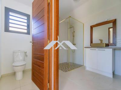 Acheter Prestige Saint-joseph 379480 euros