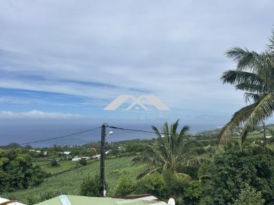 Acheter Maison Petite-ile Reunion