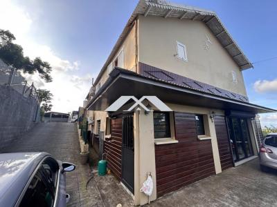 Annonce Vente 10 pi�ces Maison Sainte-suzanne 974