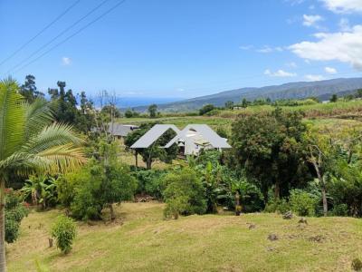 Annonce Vente 4 pi�ces Maison Plaine-des-cafres 974