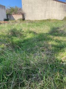 For sale Montreuil 431 m2 Seine saint denis (93100) photo 0