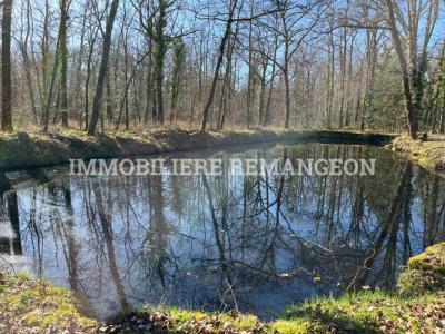 Annonce Vente Prestige Lamotte-beuvron 41