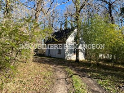 Acheter Prestige Lamotte-beuvron Loir et cher