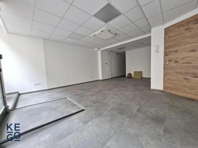 Annonce Location Local commercial Saverne 67