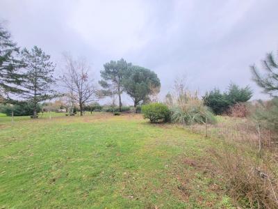 Annonce Vente Terrain Blaye 33