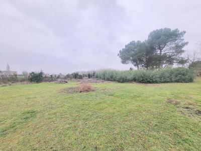 Acheter Terrain 3099 m2 Blaye