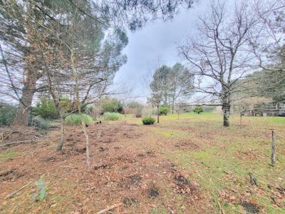 Acheter Terrain Blaye 105000 euros