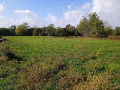 For sale Saint-ciers-sur-gironde 996 m2 Gironde (33820) photo 2