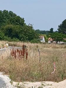 Acheter Maison Saintes Charente maritime