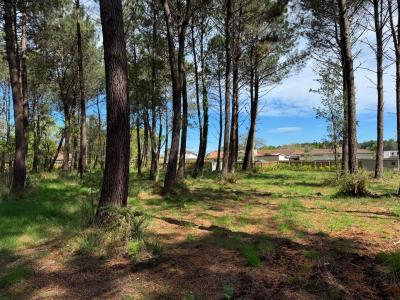 For sale Seignosse 5 rooms 111 m2 Landes (40510) photo 3