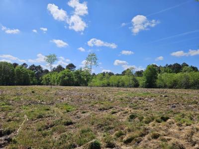 Annonce Vente Terrain Virelade 33