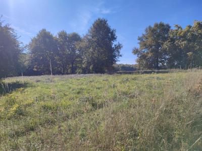 For sale Tabanac 1480 m2 Gironde (33550) photo 0