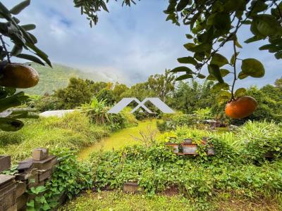 For sale Salazie 10 rooms 400 m2 Reunion (97433) photo 1