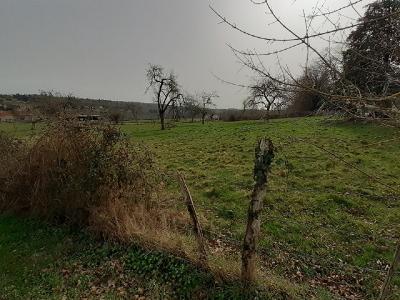 Annonce Vente Terrain  87