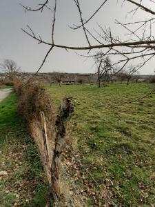 Acheter Terrain  Haute vienne