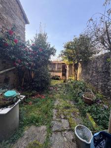 Annonce Vente 2 pi�ces Maison  87