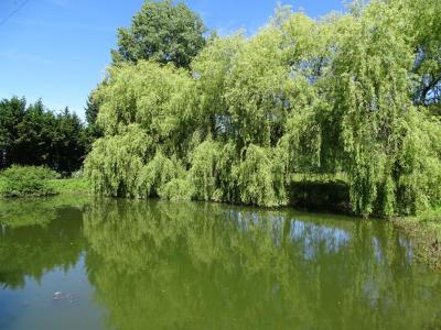 Annonce Vente 4 pi�ces Maison Sainte-orse 24