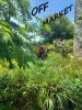 Vente Maison Bergerac  10 pieces 240 m2