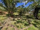 For sale Land Riviere-pilote  448 m2