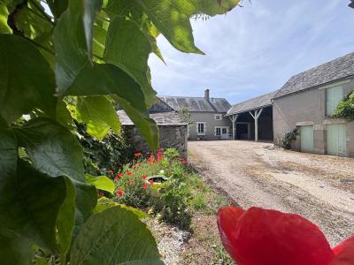 Annonce Vente 4 pi�ces Maison Vineuil 41
