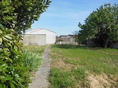 For sale Saint-sulpice-de-royan 6 rooms 126 m2 Charente maritime (17200) photo 4