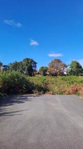 Annonce Vente Terrain Moliets-et-maa 40