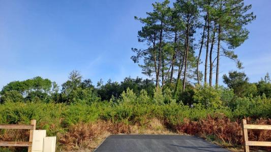 Annonce Vente Terrain Moliets-et-maa 40