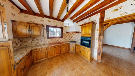 Acheter Maison 150 m2 Chouzy-sur-cisse