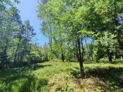 For sale Hinx 3 rooms 54 m2 Landes (40180) photo 1